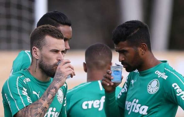 Cesar Greco/Ag. Palmeiras/Divulgação)