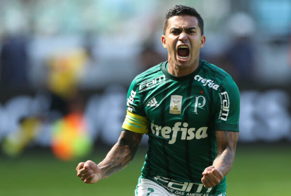 Dudu (Foto: : César Greco/Ag.Palmeiras/Divulgação)