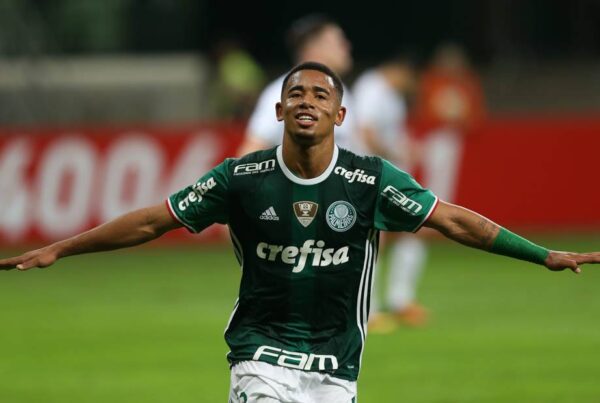 Gabriel Jesus (Foto: Divulgação/ Palmeiras)