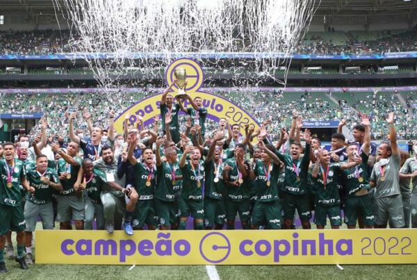 Foto: divulgação / Palmeiras