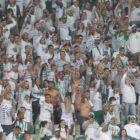 Foto: Divulgação/Palmeiras