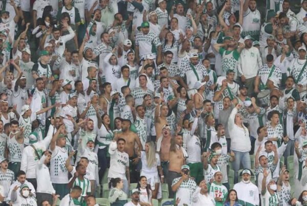 Foto: Divulgação/Palmeiras