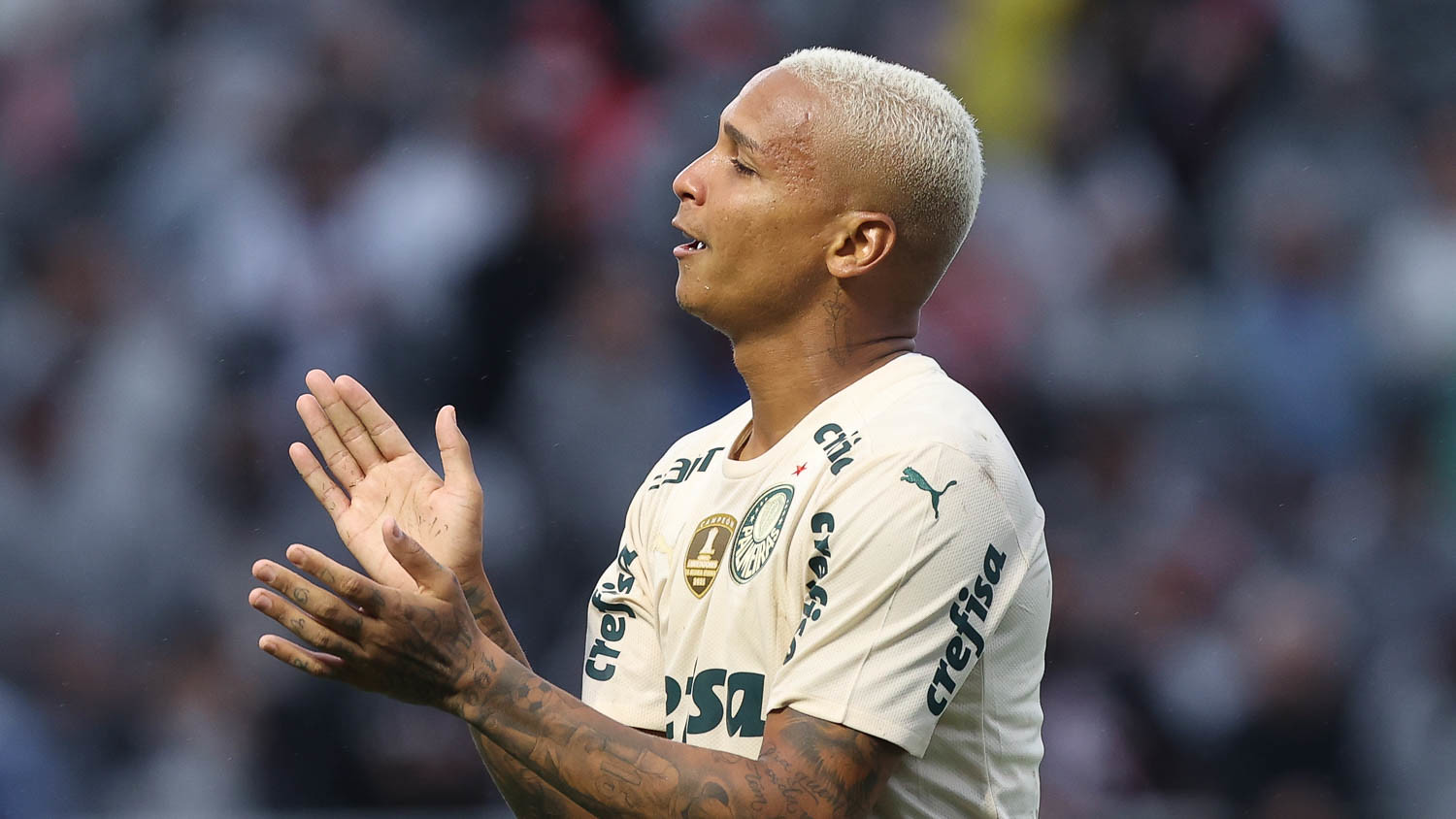 Cabeça nem tão fria