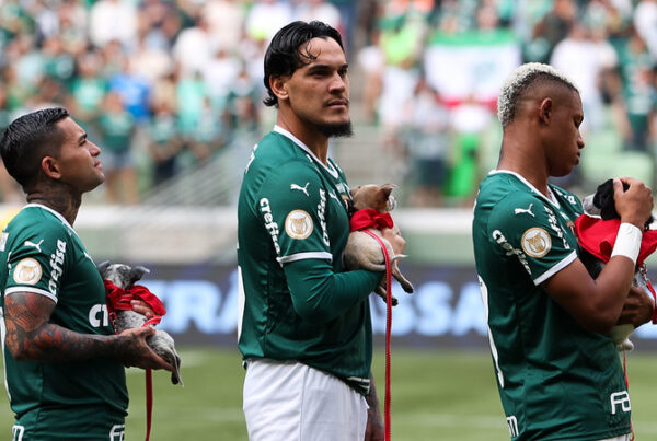 Palmeiras 1