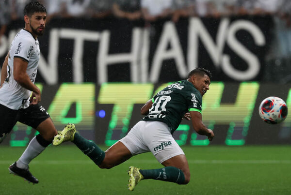 Palmeiras 1