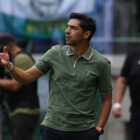 Abel Ferreira