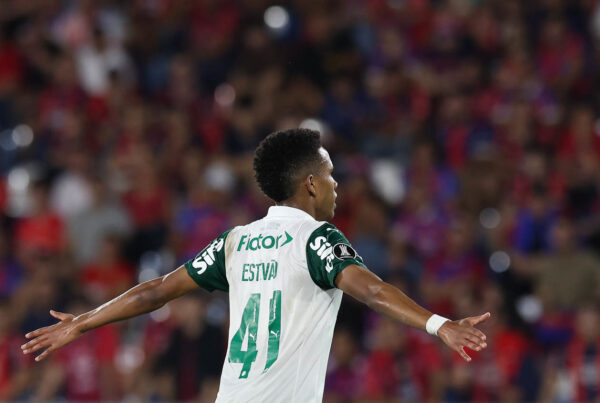 Palmeiras