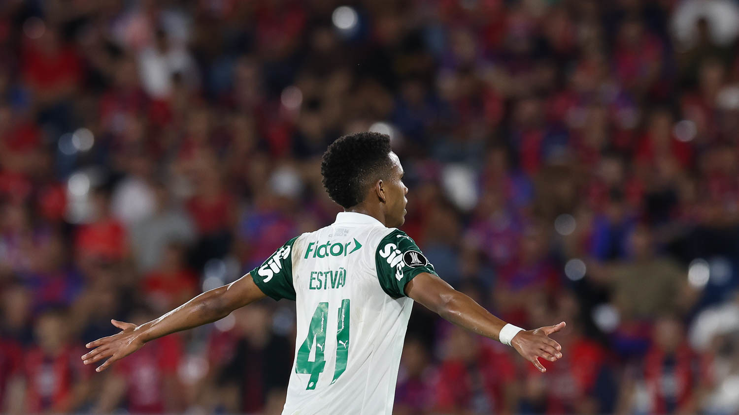Estêvão comanda Palmeiras