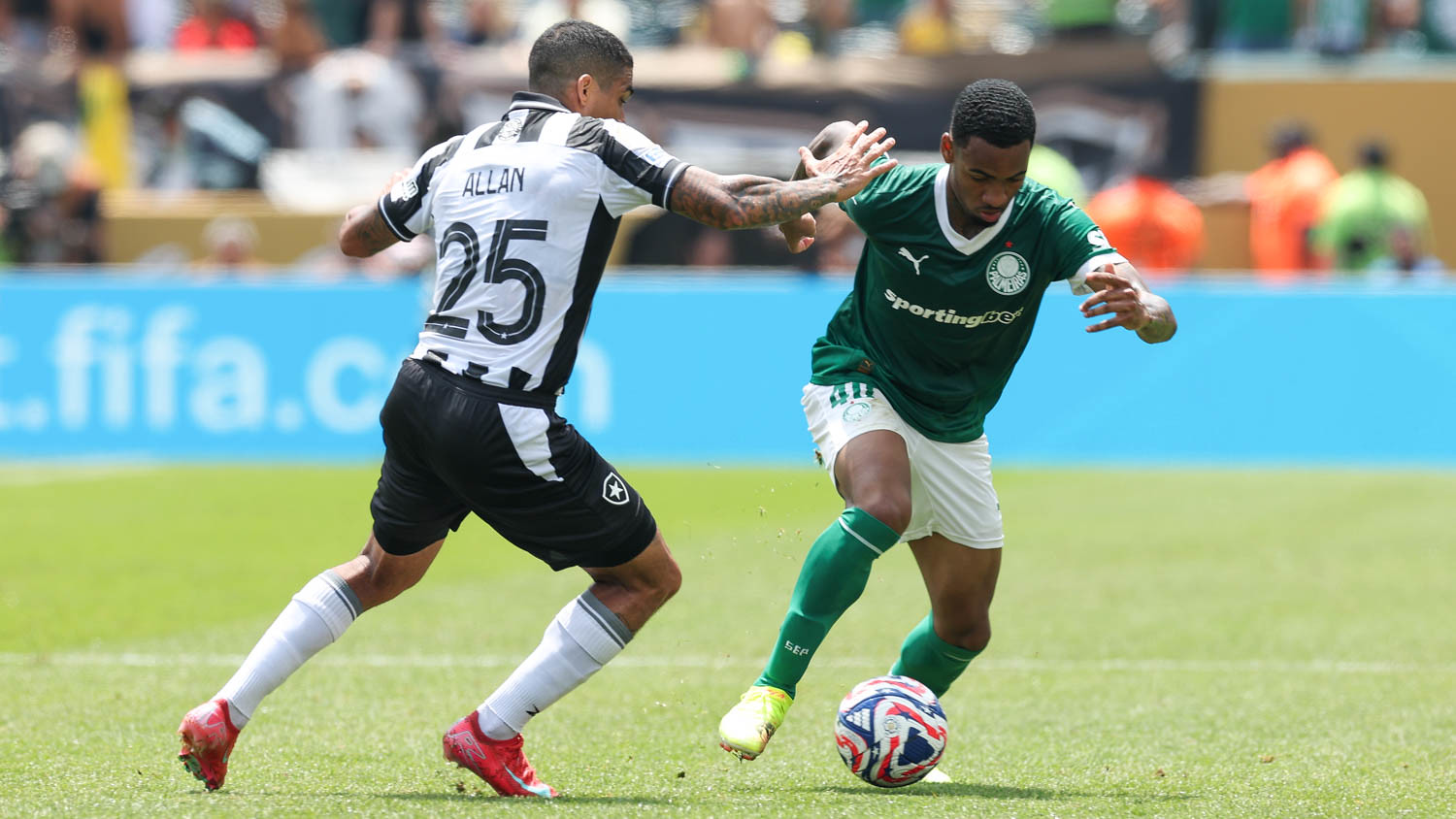 54619654541 02bd6035b4 h