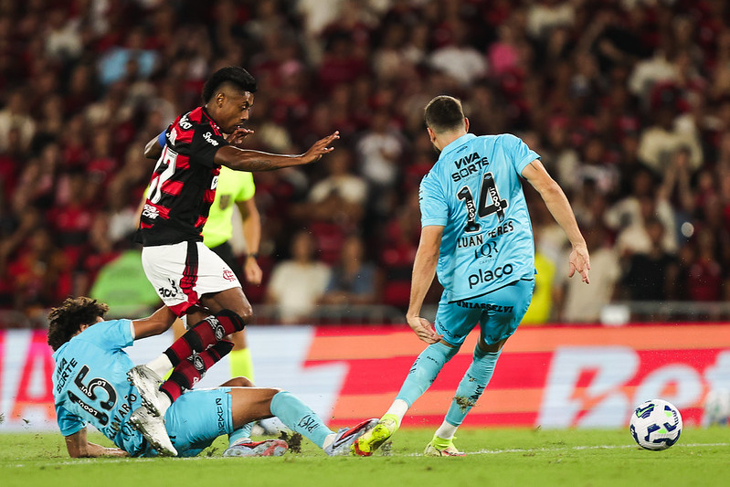 54913076350 569e31a567 c