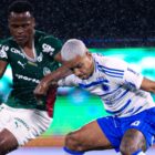Palmeiras