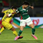 Palmeiras 1