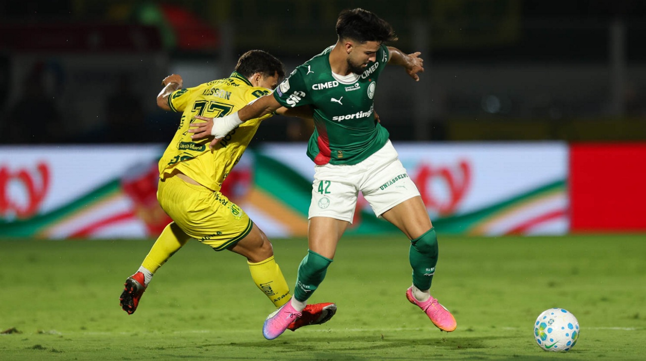 Palmeiras 1
