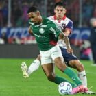 Palmeiras