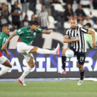Botafogo x Palmeiras