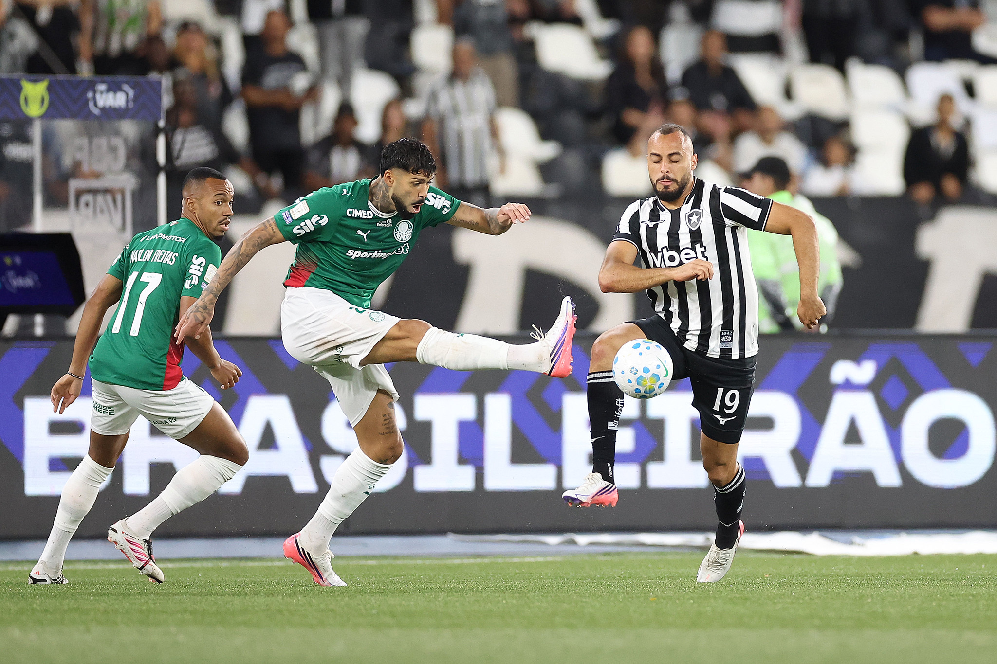 Botafogo x Palmeiras