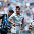 Palmeiras